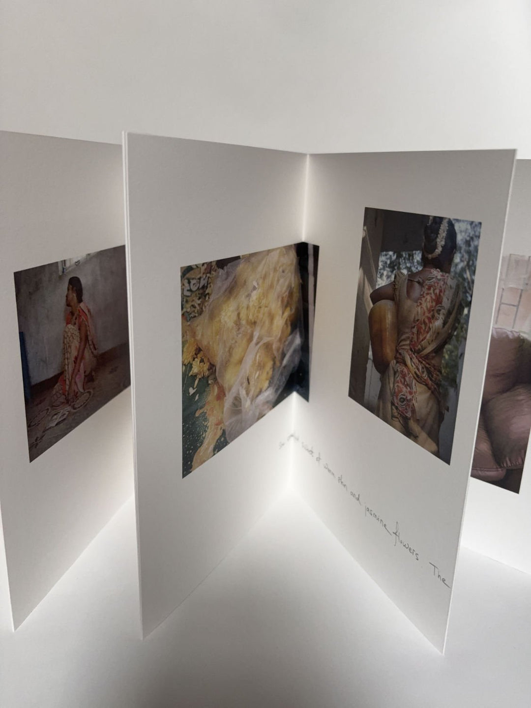 Searching for sivagami by Hannah Modigh - Tipi bookshop