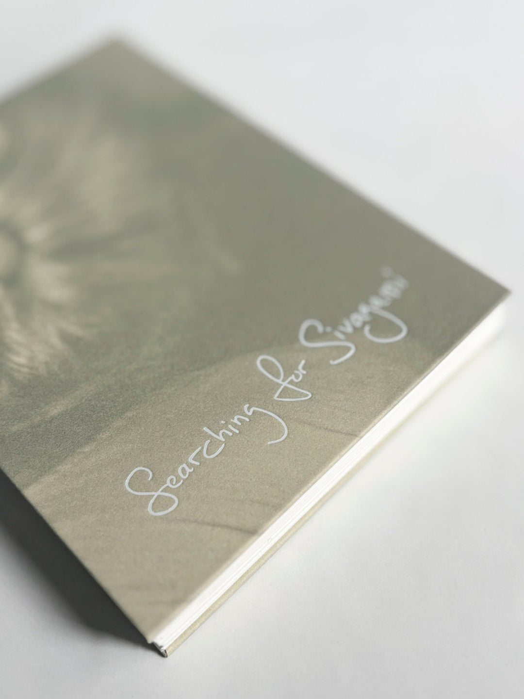 Searching for sivagami by Hannah Modigh - Tipi bookshop