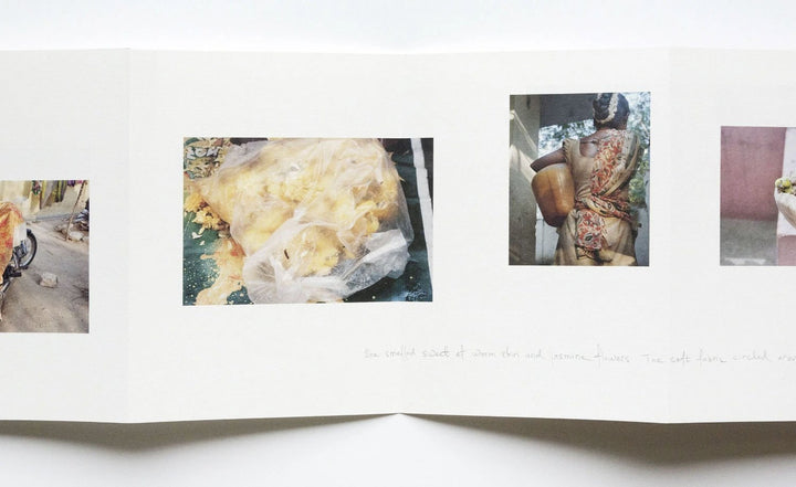 Searching for sivagami by Hannah Modigh - Tipi bookshop