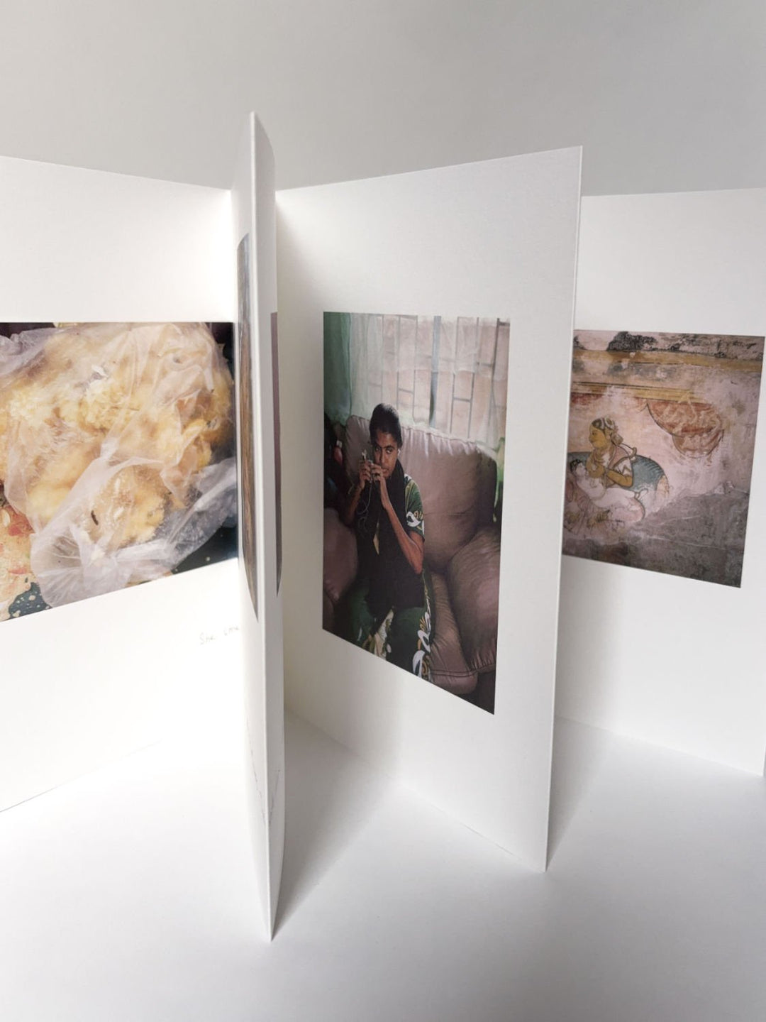 Searching for sivagami by Hannah Modigh - Tipi bookshop