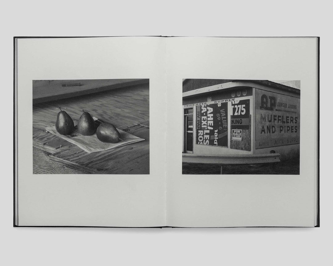 Sons of the Living by Bryan Schutmaat - Tipi bookshop