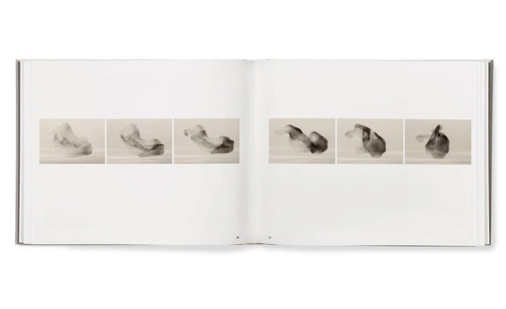 Starling & Black sun by Søren Solkaer - Tipi bookshop