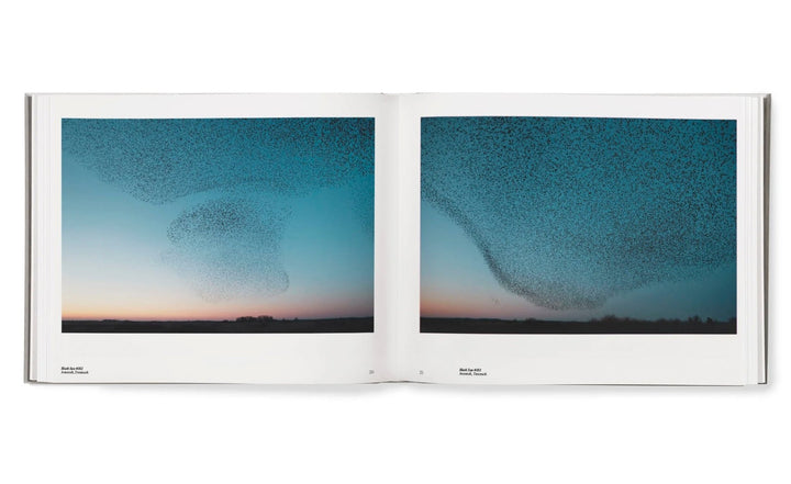 Starling & Black sun by Søren Solkaer - Tipi bookshop