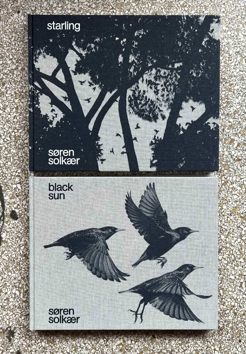 Starling & Black sun by Søren Solkaer - Tipi bookshop