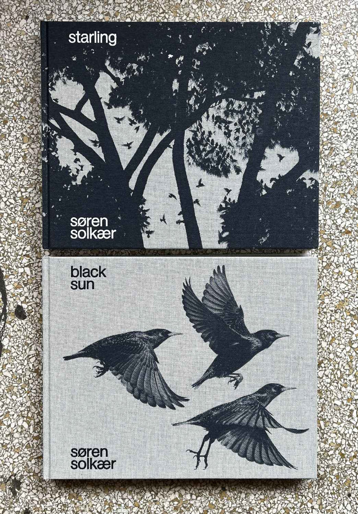 Starling & Black sun by Søren Solkaer - Tipi bookshop