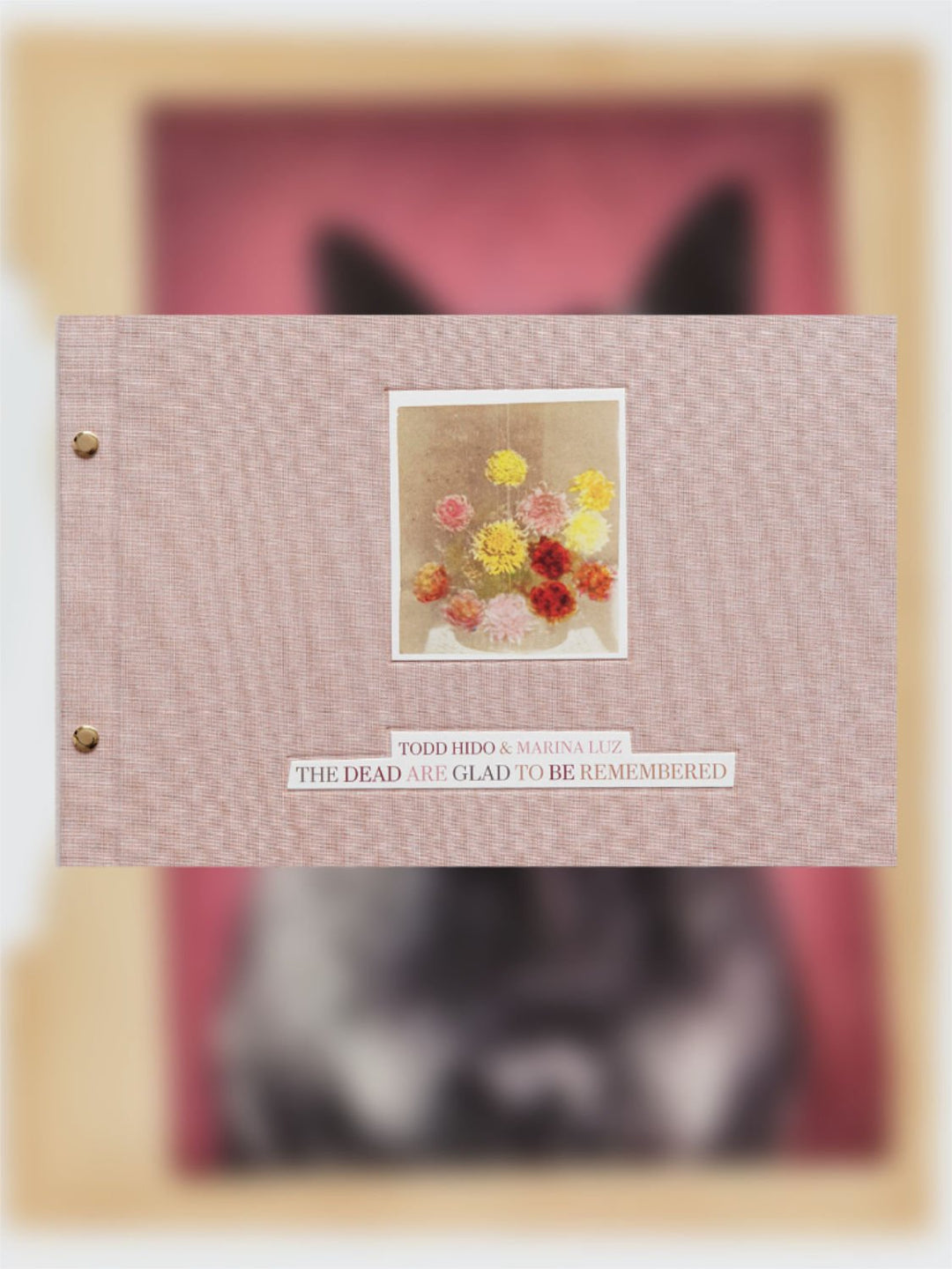 The Dead Are Glad to Be Remembered by Todd Hido - Tipi bookshop