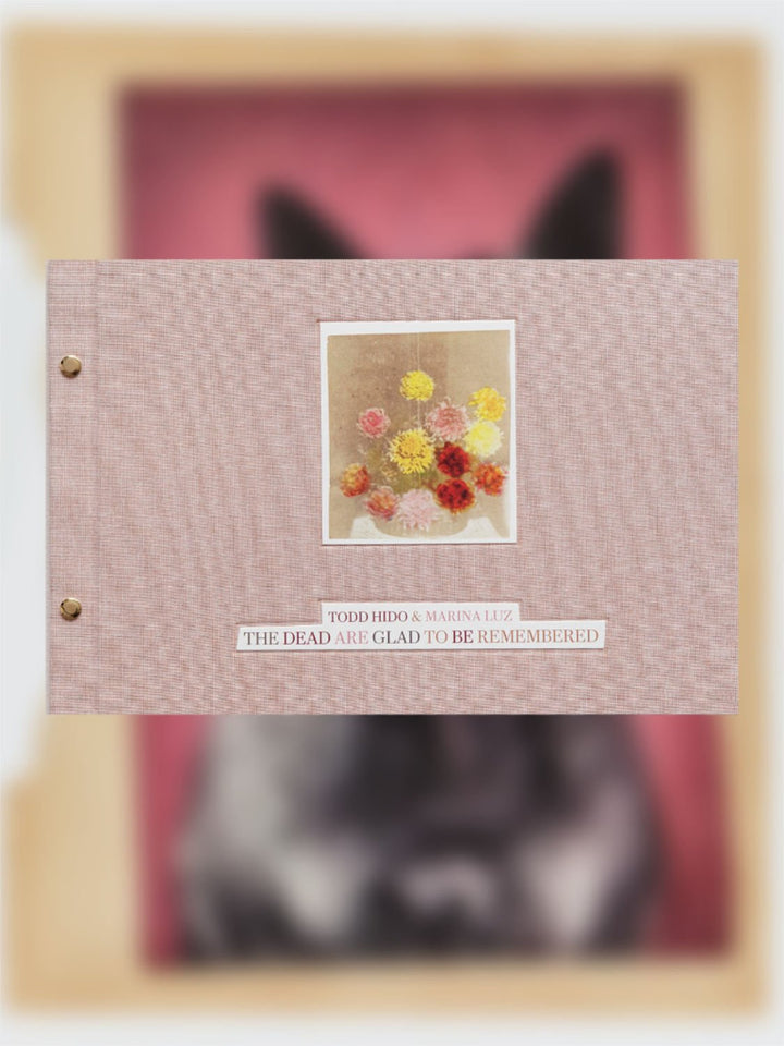 The Dead Are Glad to Be Remembered by Todd Hido - Tipi bookshop