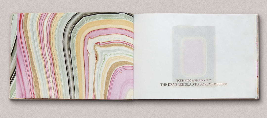 The Dead Are Glad to Be Remembered by Todd Hido - Tipi bookshop