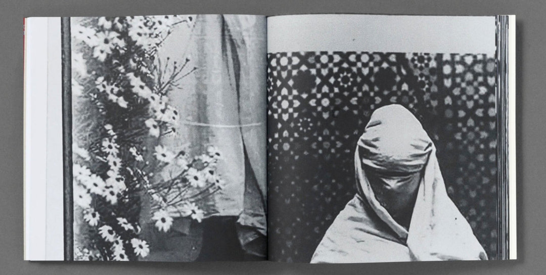The Fold by Hoda Afshar - Tipi bookshop
