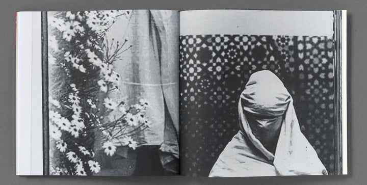 The Fold by Hoda Afshar - Tipi bookshop