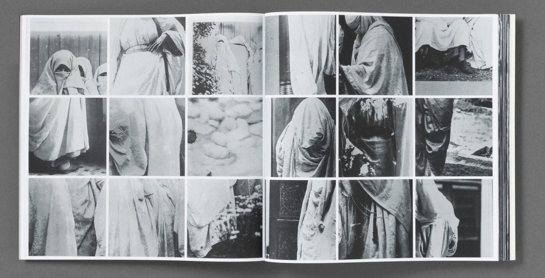 The Fold by Hoda Afshar - Tipi bookshop