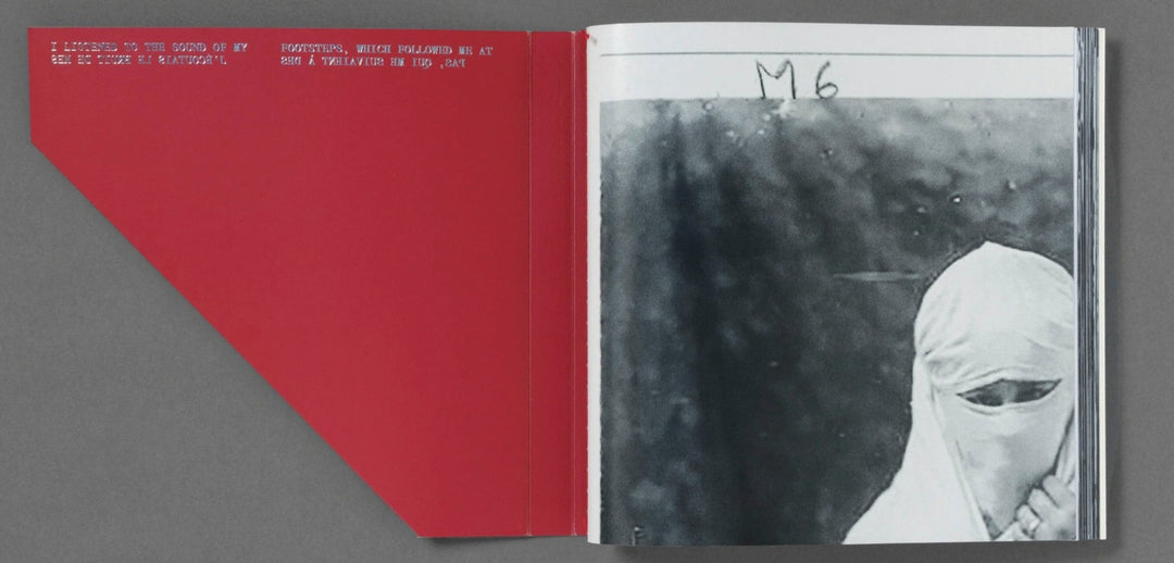 The Fold by Hoda Afshar - Tipi bookshop
