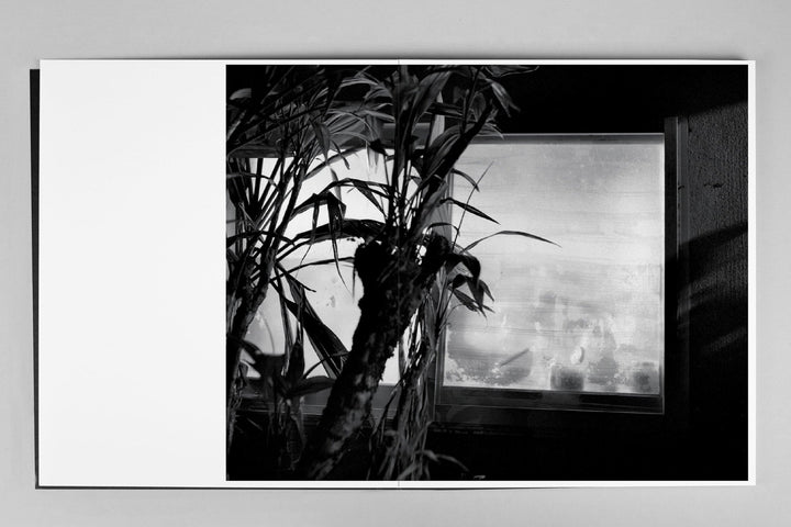 The Humanness of Our Lonely Selves by Awoiska van der Molen - Tipi bookshop