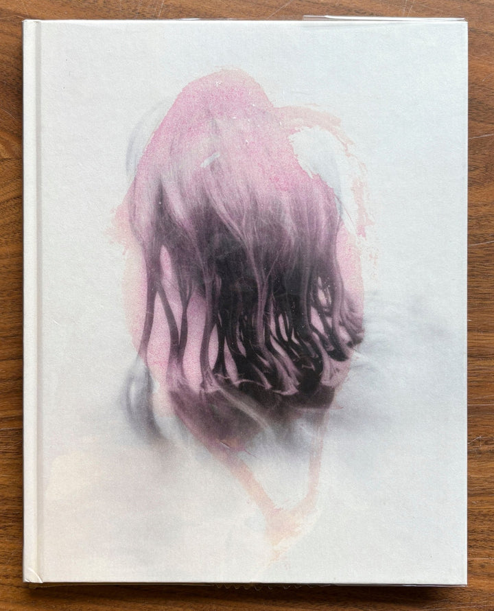 The Overmorrow by Damien Daufresne - Tipi bookshop