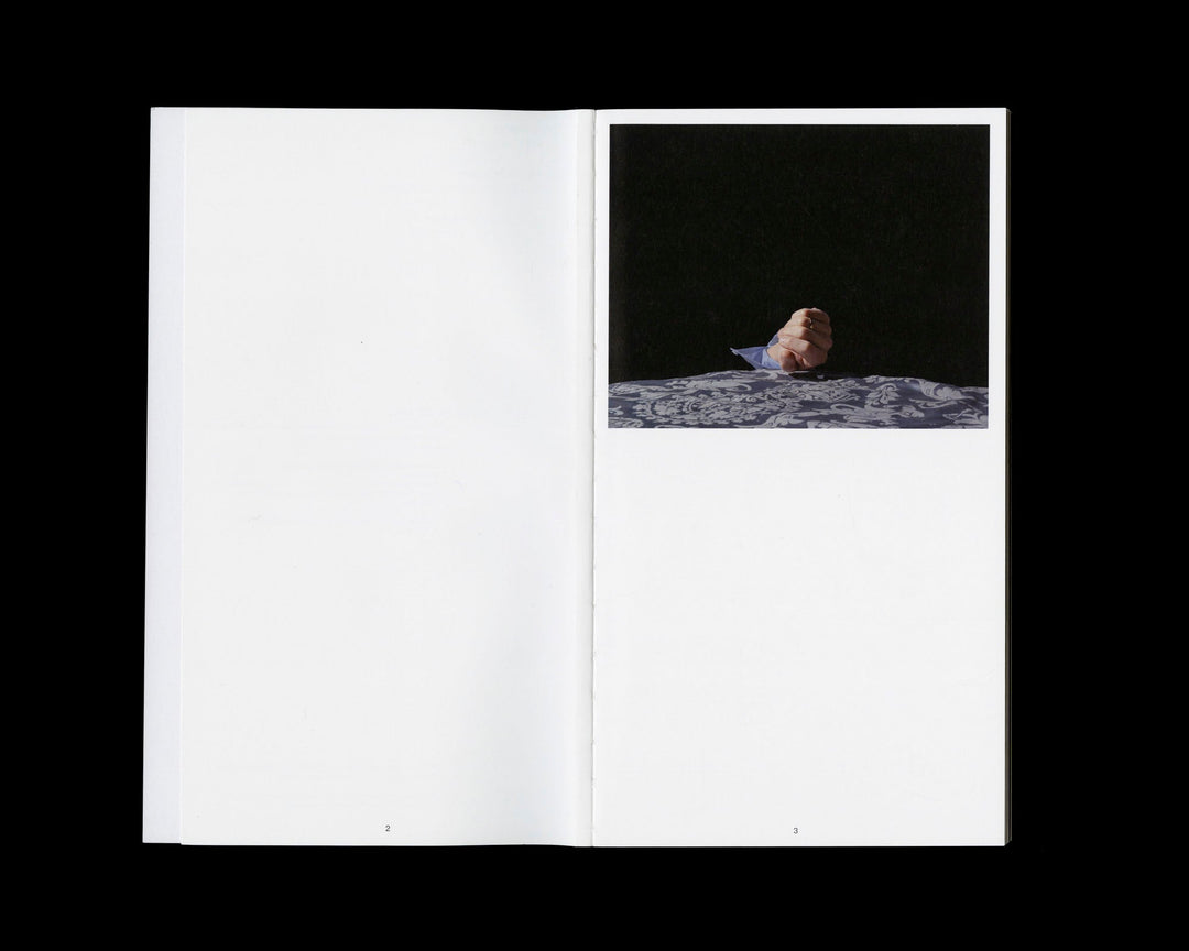 The Perfect Crime by Jan Staiger and Malte Uchtmann - Tipi bookshop