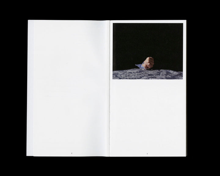 The Perfect Crime by Jan Staiger and Malte Uchtmann - Tipi bookshop