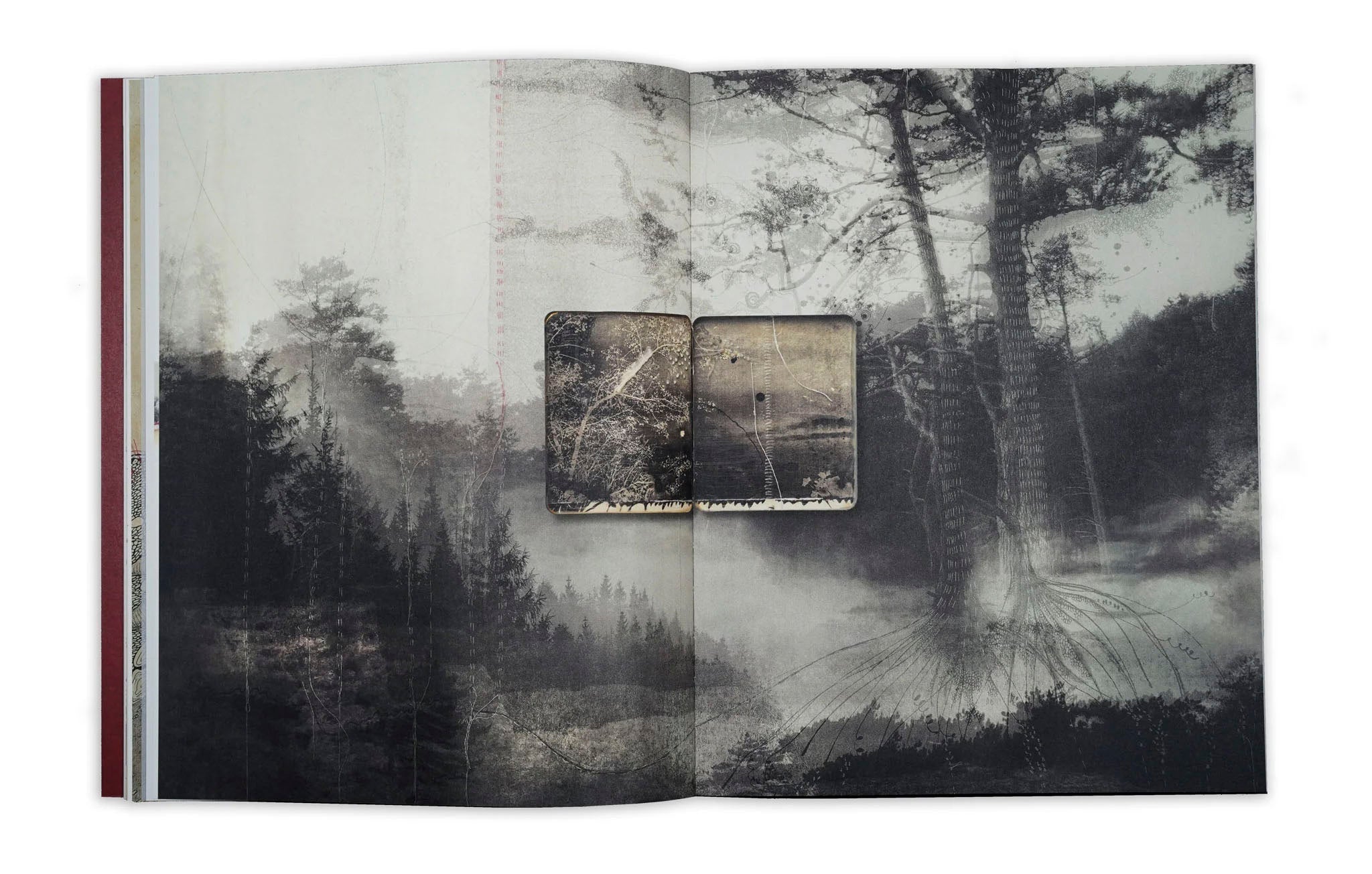 Thought Trails by Jackie Mulder - Tipi bookshop