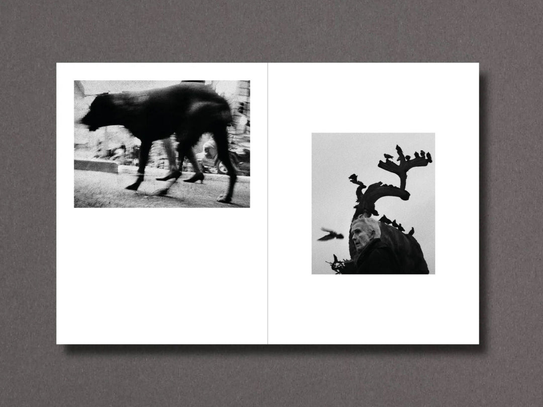 Time Isn't Holding Us by Joakim Möller - Tipi bookshop