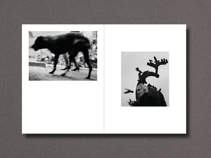 Time Isn't Holding Us by Joakim Möller - Tipi bookshop