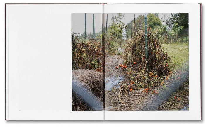 Time to kill by Ahndraya Parlato - Tipi bookshop