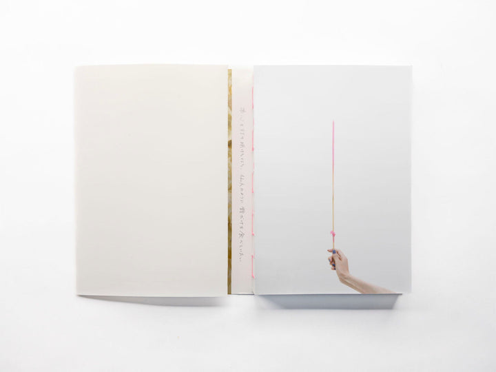 To tell my real intentions, i want to eat only haze like a hermit by Katherine Longly - Tipi bookshop