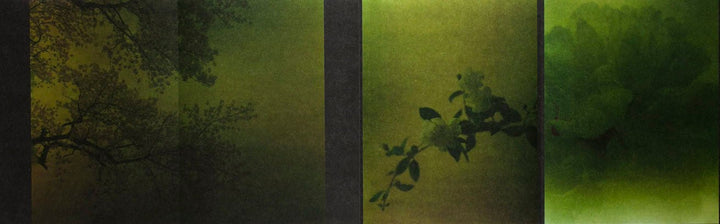 Torikumo by Haruka Fujita - Tipi bookshop