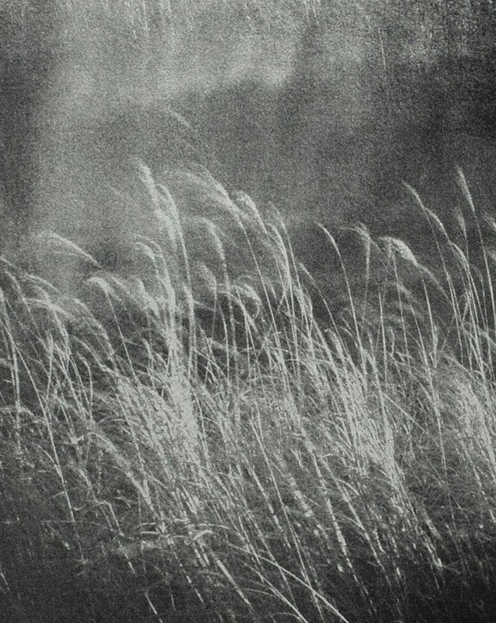 Torikumo by Haruka Fujita - Tipi bookshop
