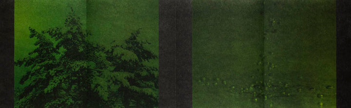 Torikumo by Haruka Fujita - Tipi bookshop