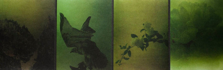 Torikumo by Haruka Fujita - Tipi bookshop