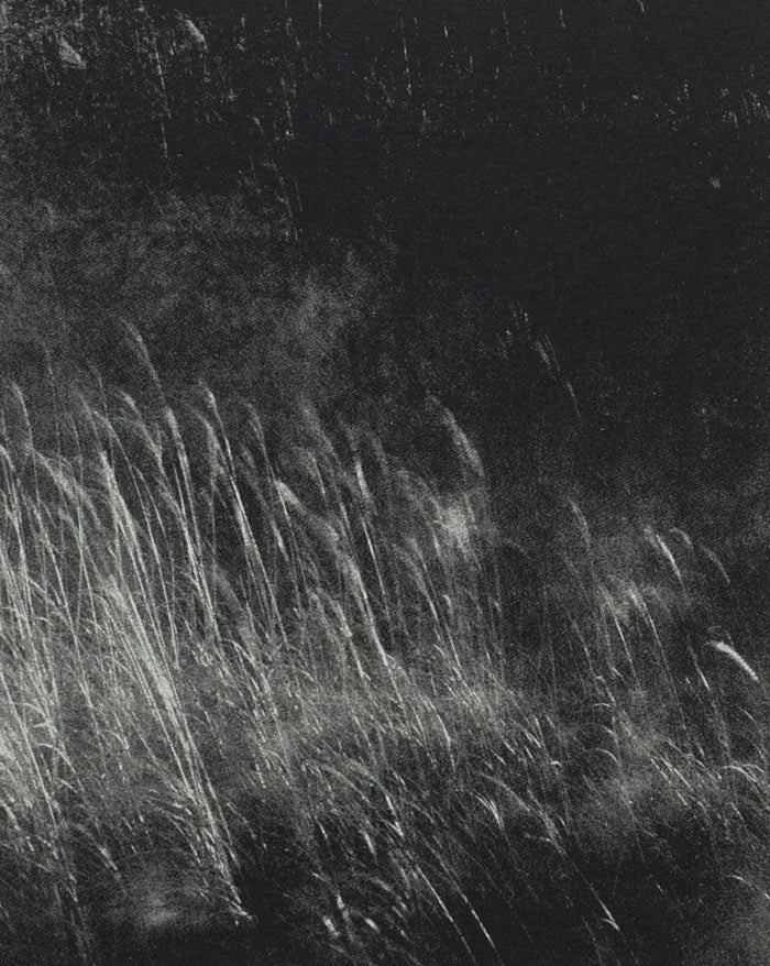 Torikumo by Haruka Fujita - Tipi bookshop