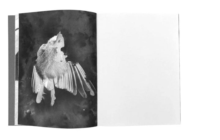 Tout en ce lieu me survivra by Alexandra Catiere - Tipi bookshop