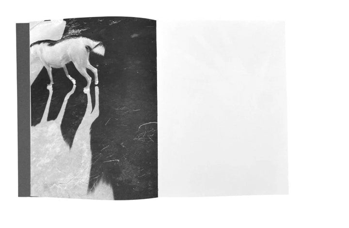 Tout en ce lieu me survivra by Alexandra Catiere - Tipi bookshop