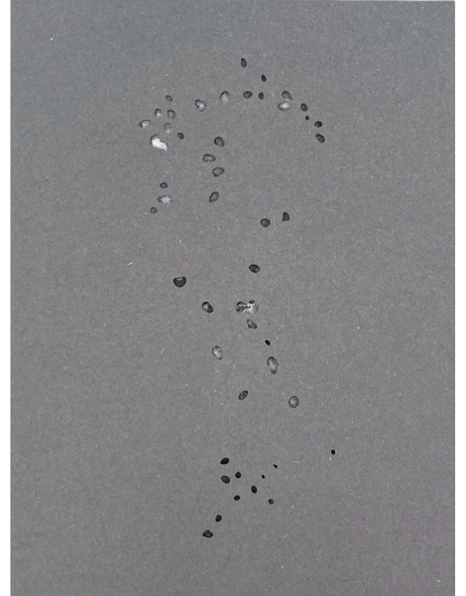 Tout en ce lieu me survivra by Alexandra Catiere - Tipi bookshop