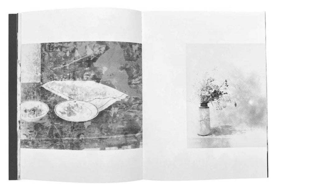 Tout en ce lieu me survivra by Alexandra Catiere - Tipi bookshop