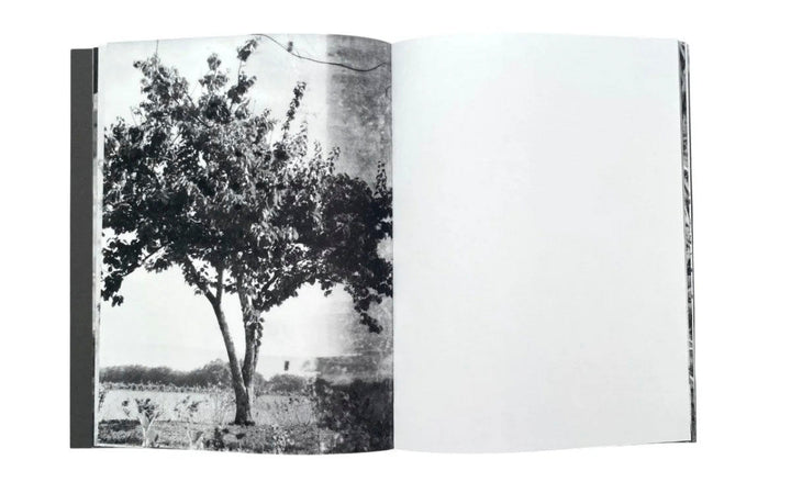 Tout en ce lieu me survivra by Alexandra Catiere - Tipi bookshop