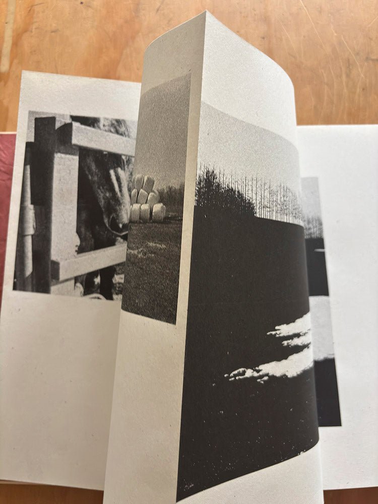 Track by Hajime Kimura - Tipi bookshop