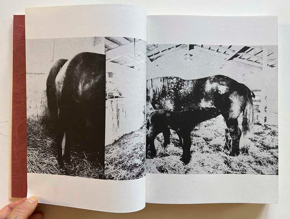 Track by Hajime Kimura - Tipi bookshop