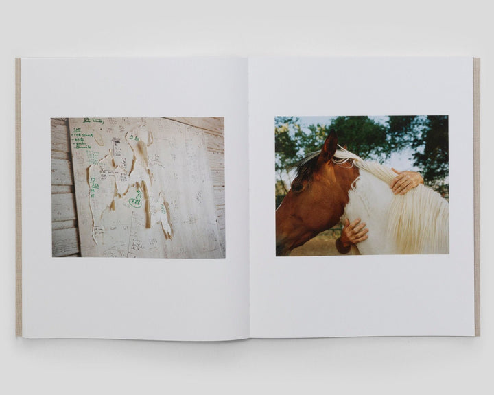 Trespasser Combo - The North Fork & För - Tipi bookshop