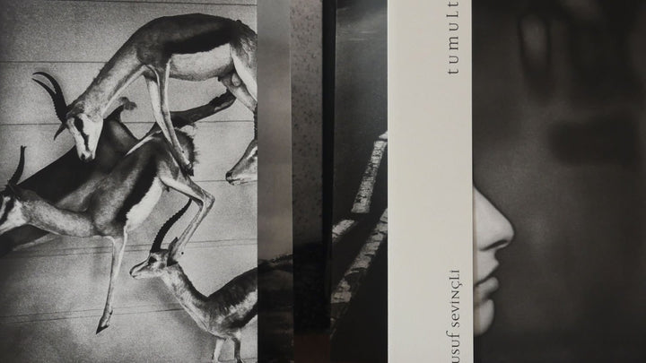Tumult by Yusuf Sevinçli - Tipi bookshop