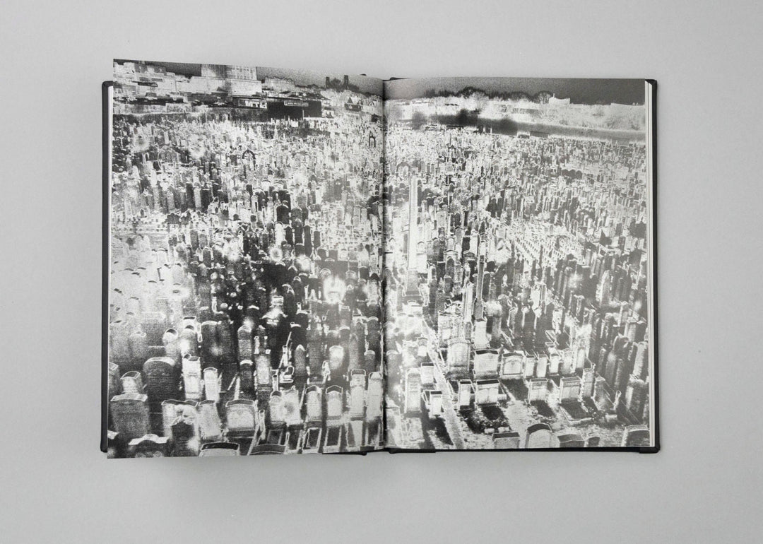 Vanishing by Anna Arendt - Tipi bookshop