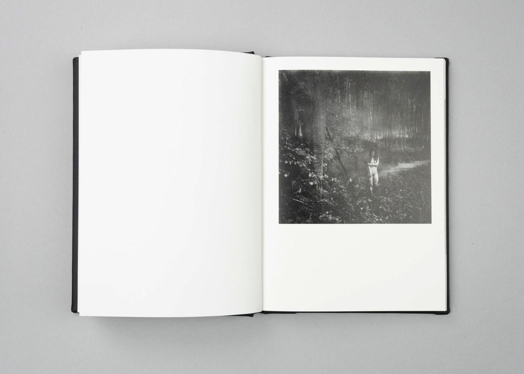 Vanishing by Anna Arendt - Tipi bookshop