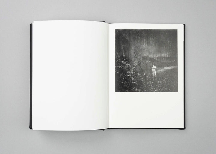 Vanishing by Anna Arendt - Tipi bookshop