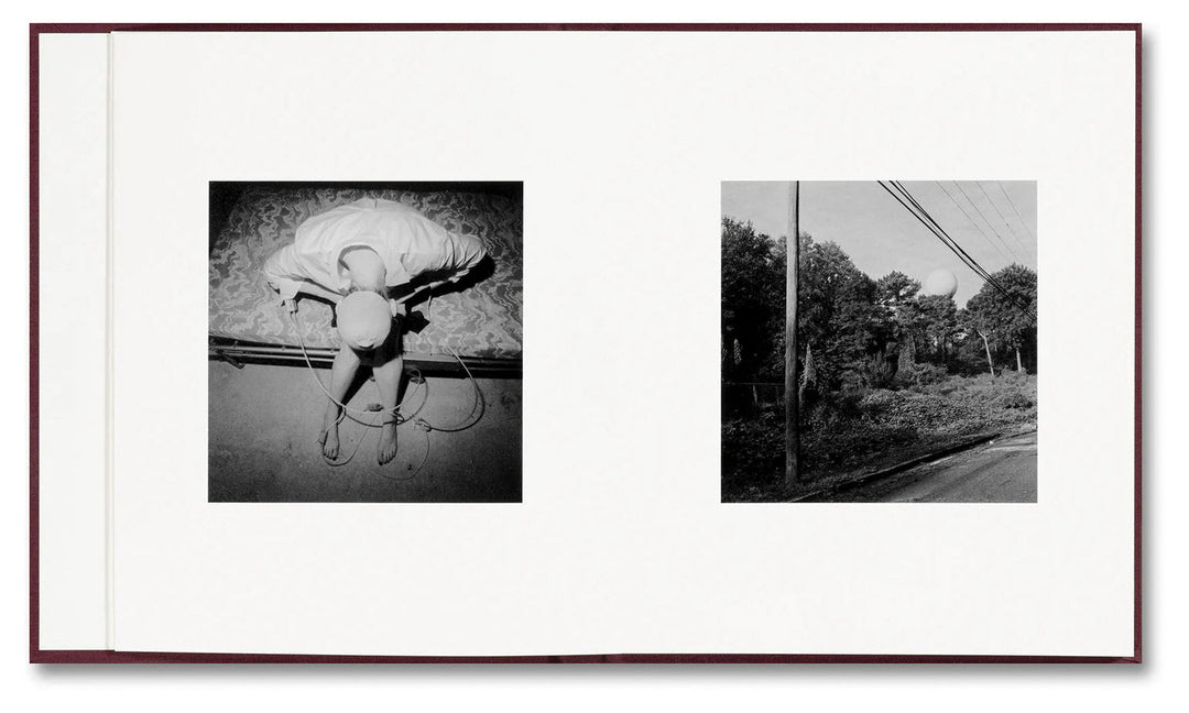 VISCIN by Yorgos Lanthimos - Tipi bookshop