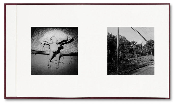 VISCIN by Yorgos Lanthimos - Tipi bookshop