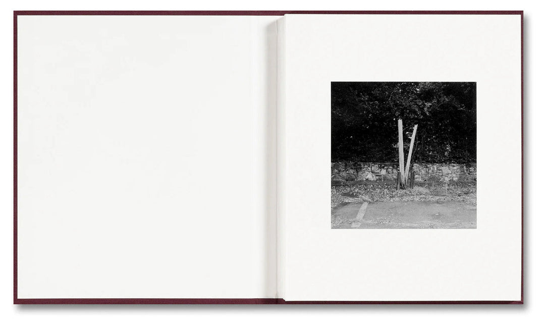 VISCIN by Yorgos Lanthimos - Tipi bookshop