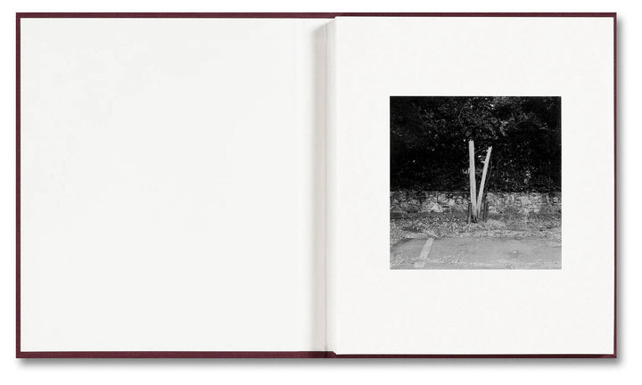 VISCIN by Yorgos Lanthimos - Tipi bookshop