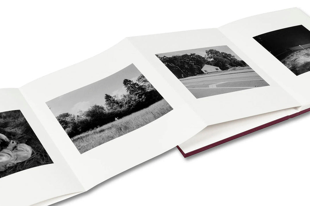 VISCIN by Yorgos Lanthimos - Tipi bookshop