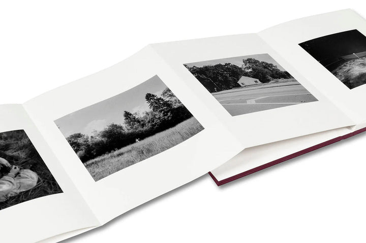 VISCIN by Yorgos Lanthimos - Tipi bookshop