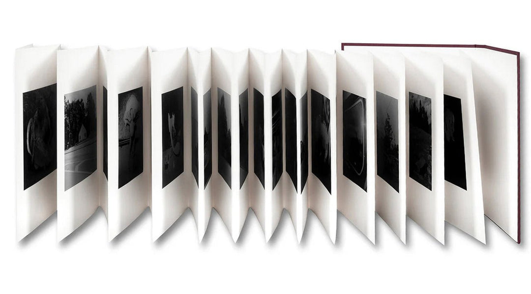 VISCIN by Yorgos Lanthimos - Tipi bookshop