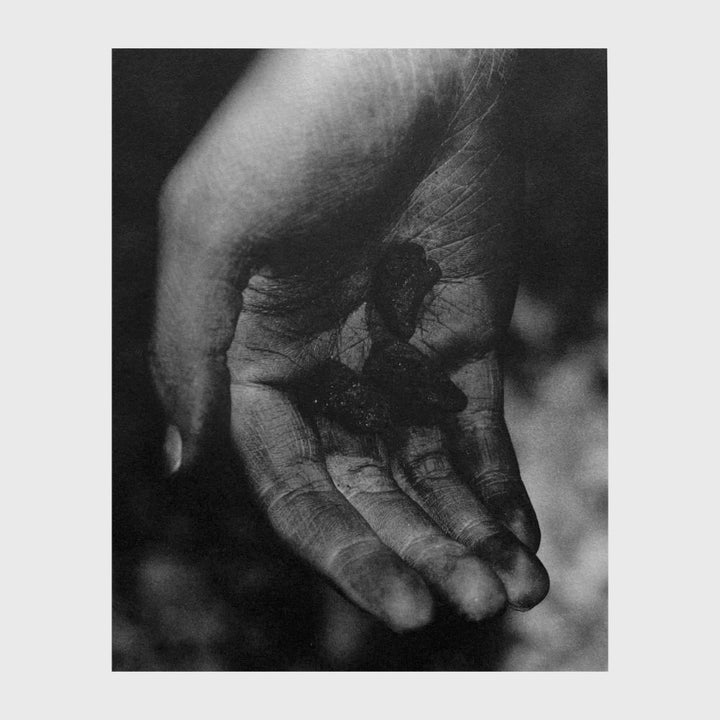 Well, Here by Bastien Communi - Tipi bookshop